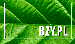 odwaga, nieśmiałość, wstyd, strach, zdrada, miłość, horoskop, tarrot