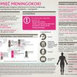 ŮŠ(ÍĄŕšĚŻÍĄŕš)Űś Bakteryjne zapalenie opon mózgowych, jak sobie radzić z wrogiem: meningokoki, pneumokoki i Haemophilus influenzae typu B (HiB).