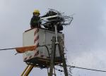 Słupscy energetycy montują platformę pod bocianie gniazdo slupscy_energetycy_zakladaja_platforme_3.JPG