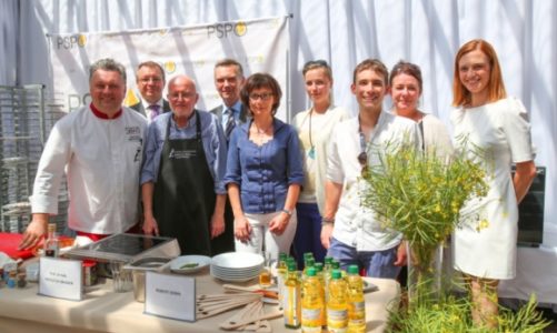 POLACY POKOCHALI OLEJ RZEPAKOWY