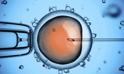 Tajemniczy rynek dający życie