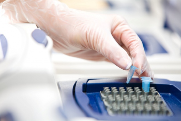Certyfikat jakości GEDNAP dla testów ojcostwa wykonywanych przez testDNA