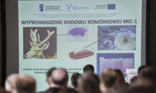 Wielki sukces wrocławskich uczonych