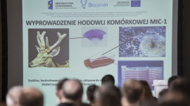Wielki sukces wrocławskich uczonych Zdrowie, BIZNES - Naukowcy z Uniwersytetu Przyrodniczego we Wrocławiu i spółki Stem Cells Spin S.A. opracowali technologię umożliwiającą wykorzystanie komórek macierzystych pochodzących z poroża jelenia szlachetnego w medycynie, ale także w weterynarii i kosmetologii.