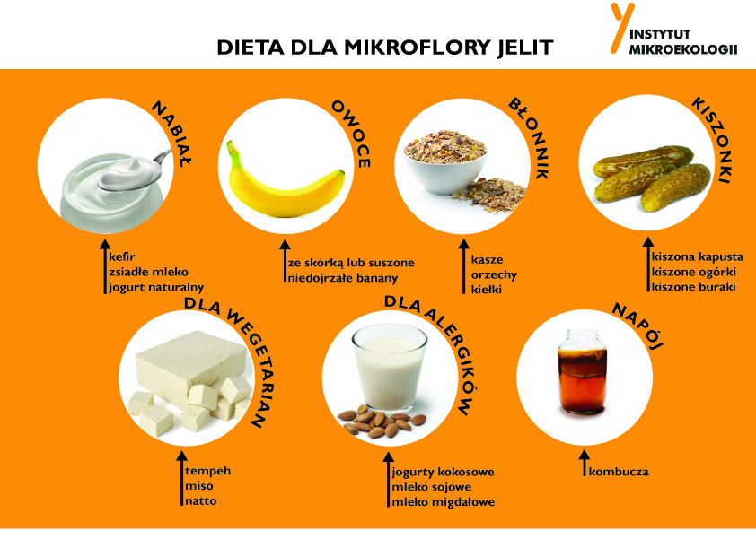 Infografika-dieta-dla-mikroflory-jelit Dieta dla mikroflory jelit