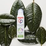 Pielęgnacja Polek – do czego się przyznajemy, czego unikamy, na czym nam zależy