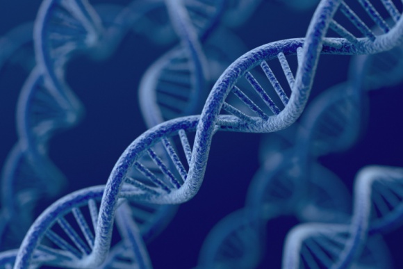 Czy wynik prywatnego testu na ojcostwo może być wykorzystany w sądzie? Zdrowie, BIZNES - Tak, wynik prywatnego testu na ojcostwo może być wykorzystany w sądzie – pomimo braku formalnej procedury przy pobieraniu próbek. Sąd niejednokrotnie uznaje rezultat takiego badania za wystarczający do wystawienia opinii w toczącym się postępowaniu. Jak to możliwe?