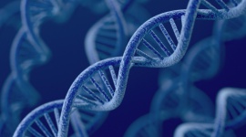 Czy wynik prywatnego testu na ojcostwo może być wykorzystany w sądzie? Zdrowie, BIZNES - Tak, wynik prywatnego testu na ojcostwo może być wykorzystany w sądzie – pomimo braku formalnej procedury przy pobieraniu próbek. Sąd niejednokrotnie uznaje rezultat takiego badania za wystarczający do wystawienia opinii w toczącym się postępowaniu. Jak to możliwe?