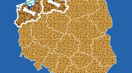 ABY KOŚCI POZOSTAŁY W CAŁOŚCI. BRAK ŚWIADOMOŚCI RYZYKA OSTEOPOROZY Zdrowie, BIZNES - 20 PAŹDZIERNIKA ŚWIATOWY DZIEŃ OSTEOPOROZY