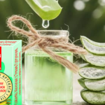 Cudowny Aloes – zatrzymaj czas!