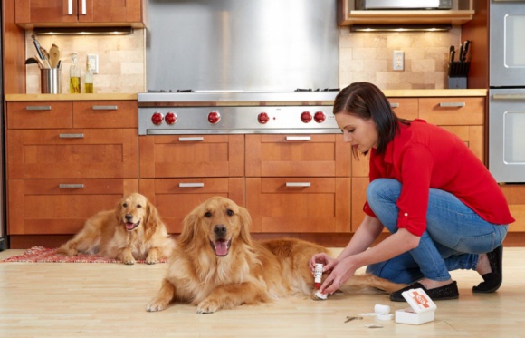 NOWY CZŁONEK RODZINY JAK PRZYGOTOWAĆ DOM NA JEGO PRZYBYCIE? Zdrowie, BIZNES - Pojawienie się zwierzaka w domu to nie lada wyzwanie dla domowników i zapowiedź nowego rytmu życia. Jednak to nie tylko zmiany dla właścicieli, ale również dla zwierzaka, który pojawia się w zupełnie nowym otoczeniu.