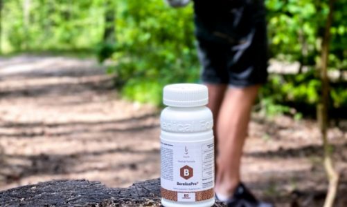 Jak uniknąć kleszczy i zminimalizować skutki ich ugryzienia?