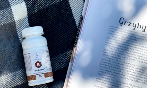 O czym warto pamiętać podczas grzybobrania?