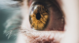 Światowy Dzień Wzroku - wyniki badania jak Polacy dbają o swój wzrok Zdrowie, LIFESTYLE - Wzrok jest ważnym narzędziem zmysłu człowieka. Należy o niego dbać regularnie. Badania wykonane na zlecenie Vision Express pokazują, że wielu Polaków nie dba prawidłowo o swój wzrok.